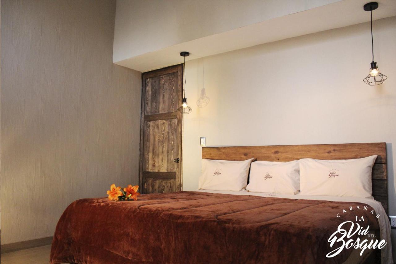 Cabanas La Vid Del Bosque Hotell Tapalpa Exteriör bild