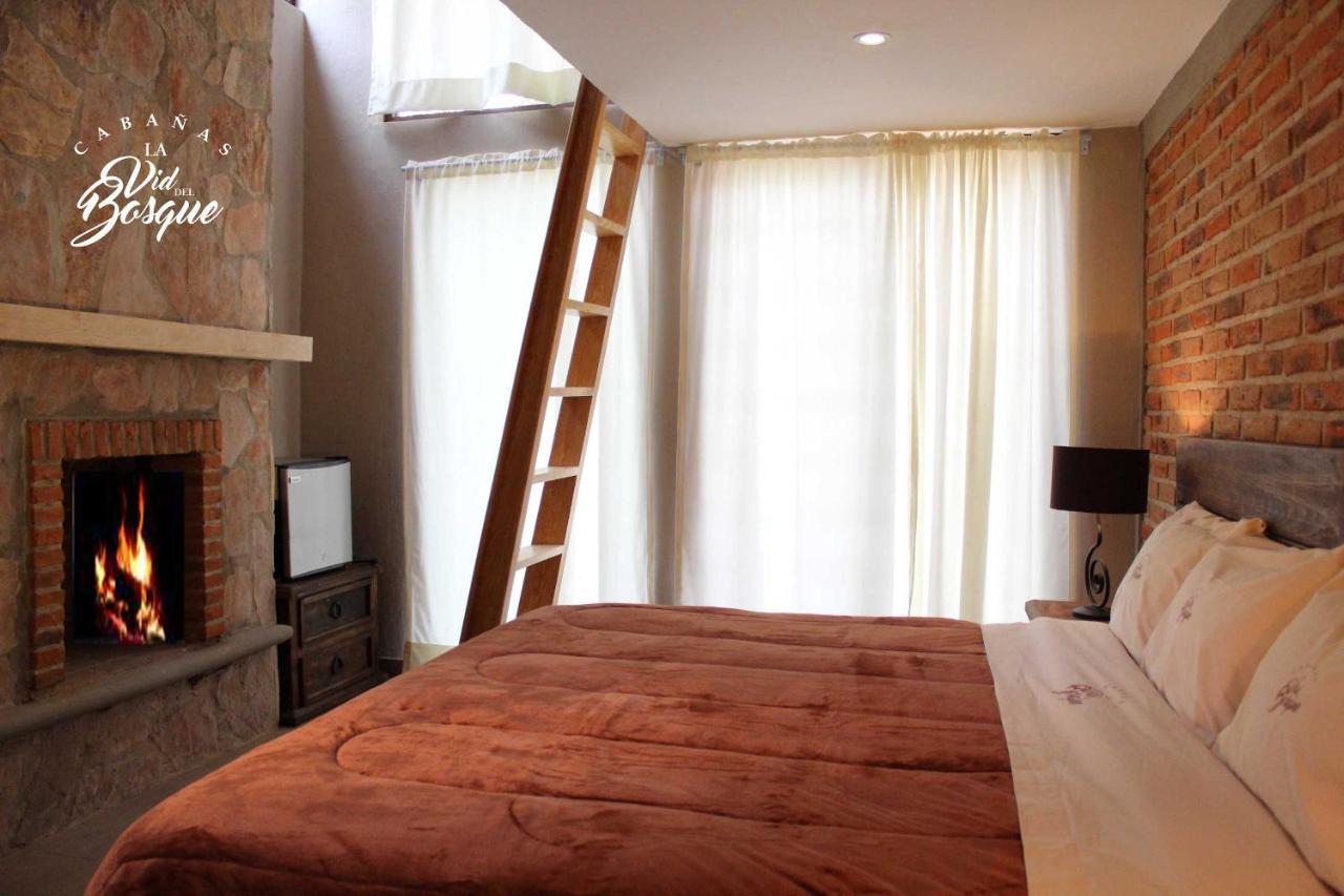 Cabanas La Vid Del Bosque Hotell Tapalpa Exteriör bild