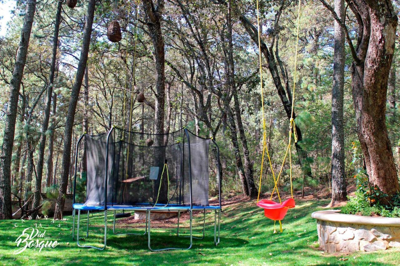Cabanas La Vid Del Bosque Hotell Tapalpa Exteriör bild