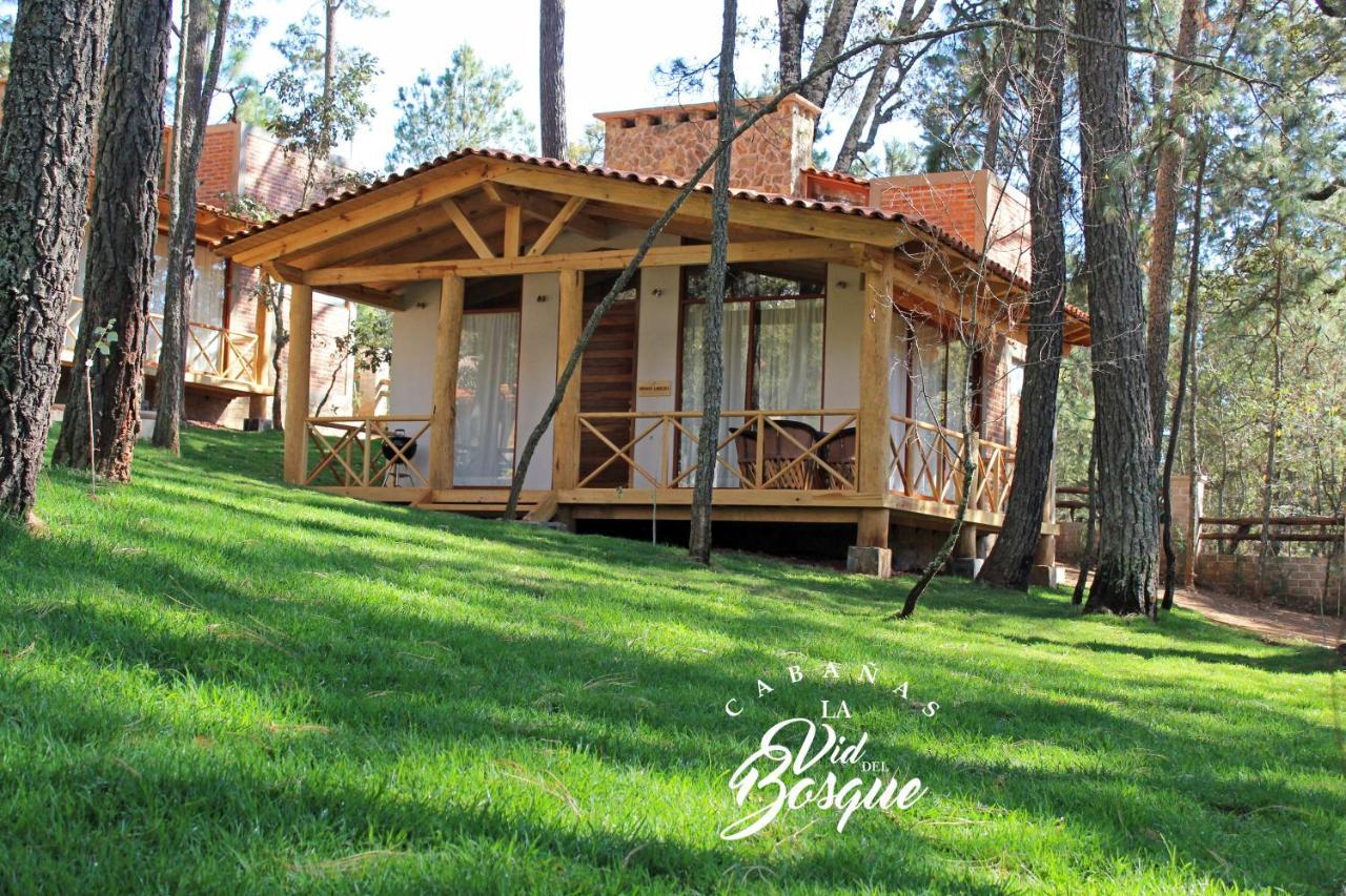Cabanas La Vid Del Bosque Hotell Tapalpa Exteriör bild
